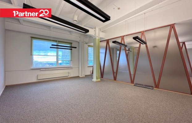Image 6 of 25