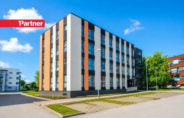 картина 23 of 25