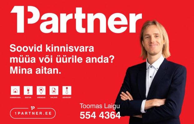 картина 26 of 26