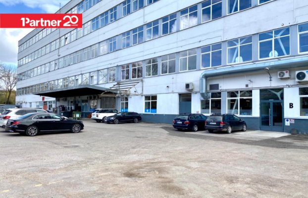картина 13 of 19