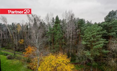 Pilte Ainulaadne perekodu, kus rohelus ja rand on käeulatuses!