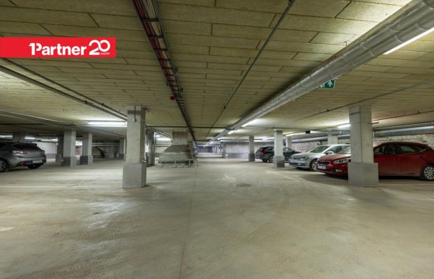 картина 12 of 22