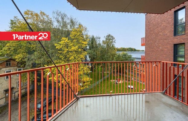 картина 6 of 19