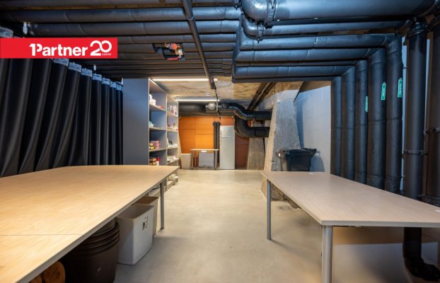 картина 11 of 23