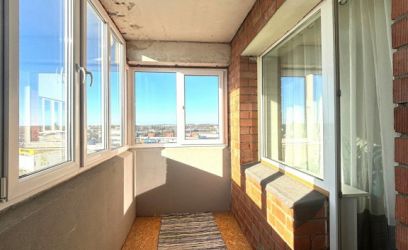 Image of ERALDI TOAD! SUUR KÖÖK! AVAR RÕDU!