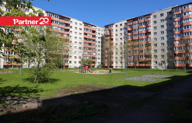 картина 14 of 20