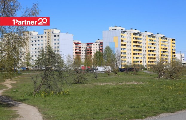картина 15 of 20