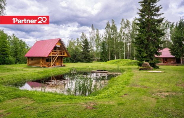картина 39 of 44