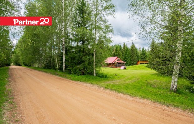картина 44 of 44