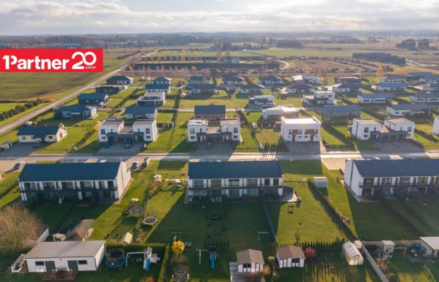 картина 36 of 39