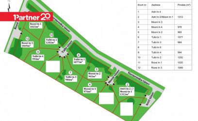 Image of KEHTIV DETAILPLANEERING! LIITUMISTASUD HINNAS!