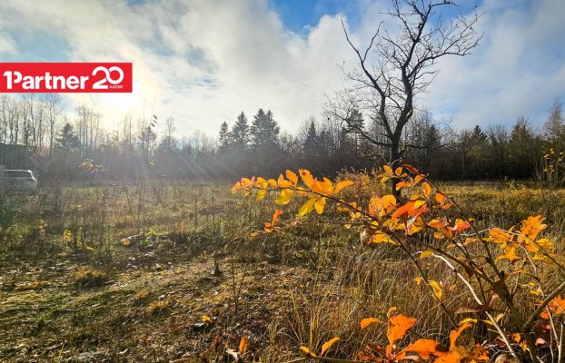 картина 12 of 14