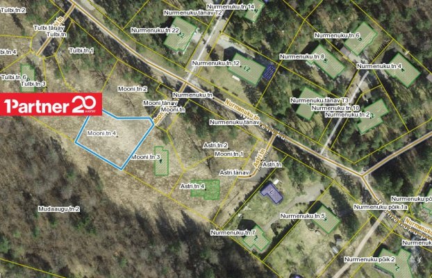 картина 8 of 14