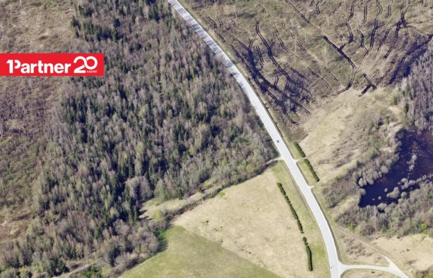 картина 4 of 6