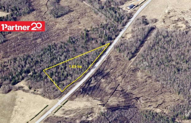 картина 2 of 6