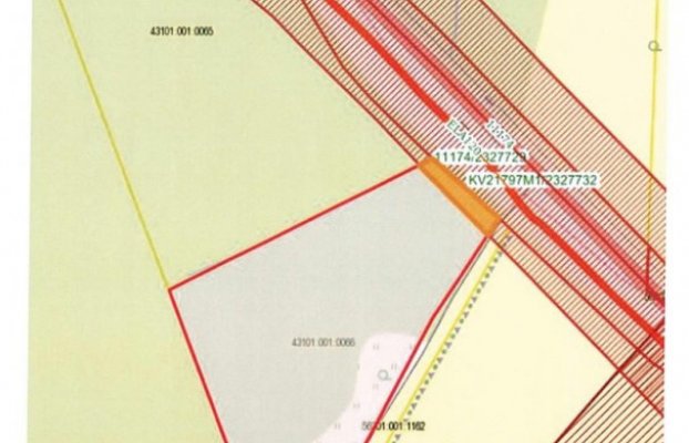 картина 6 of 6