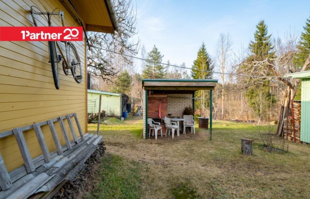 картина 36 of 47