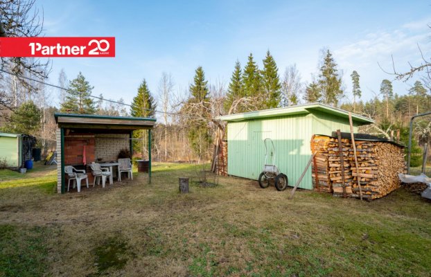 картина 35 of 47