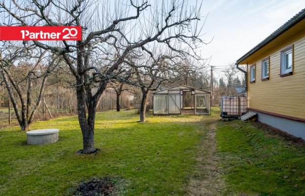 картина 37 of 47