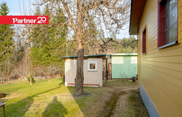 картина 34 of 47