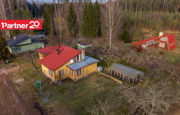 картина 39 of 47