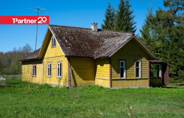Image 15 of 39
