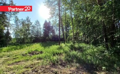 Image of Kõrghaljastusega elamukrunt Sakust vaid 10km!