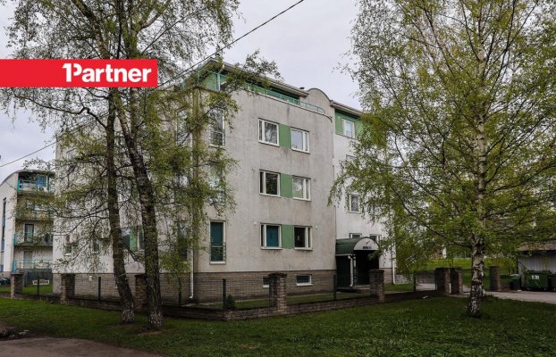 картина 19 of 20