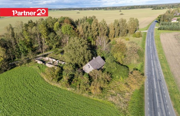 картина 16 of 29