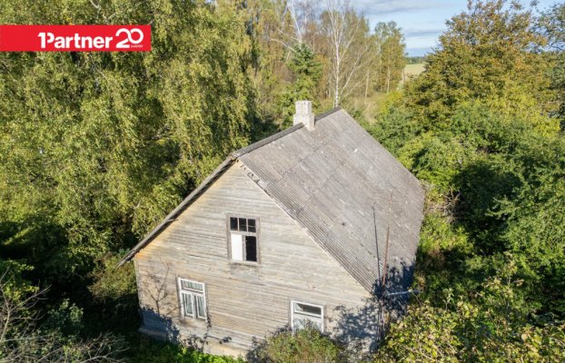 картина 11 of 29