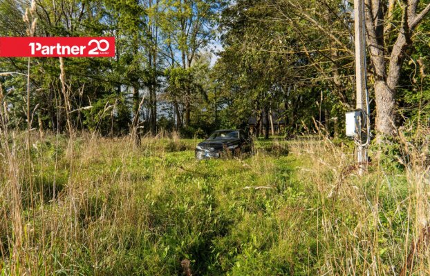 картина 23 of 29