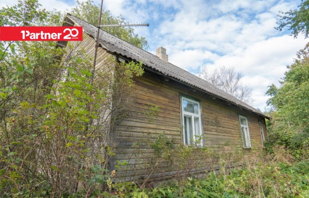 картина 8 of 29