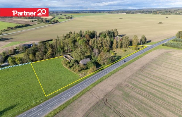 картина 1 of 29