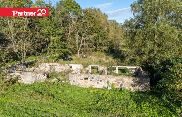 картина 17 of 29