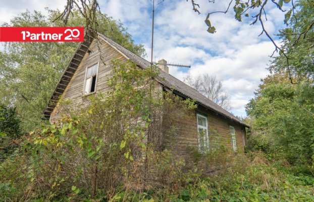 картина 6 of 29