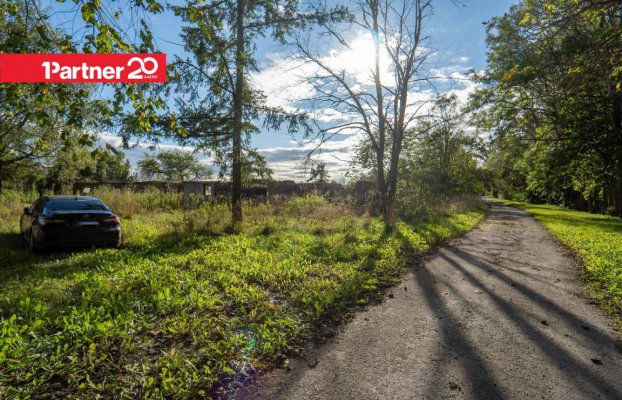 картина 22 of 29