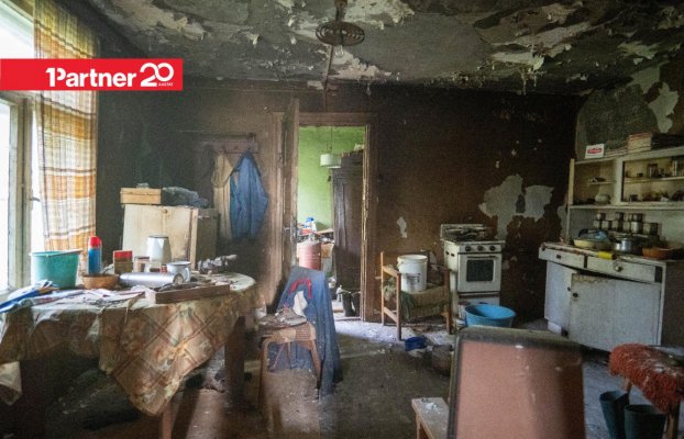 картина 27 of 29