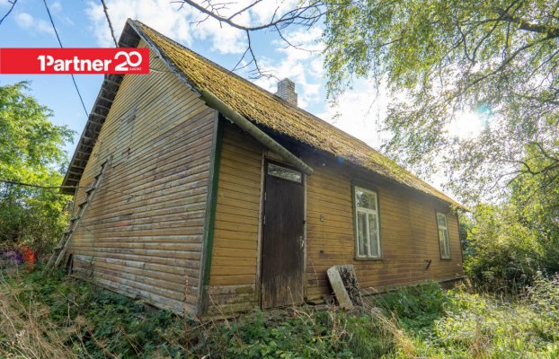 картина 4 of 29