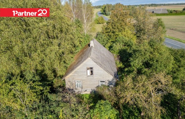 картина 10 of 29