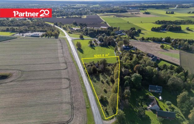 картина 14 of 29