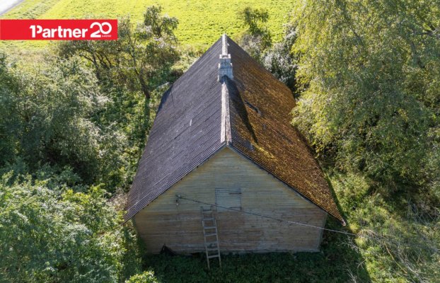 картина 13 of 29