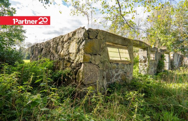 картина 24 of 29