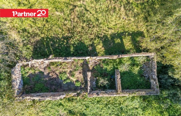 картина 18 of 29