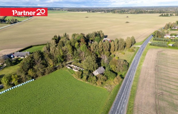 картина 15 of 29