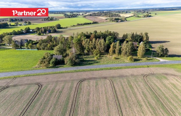 картина 20 of 29