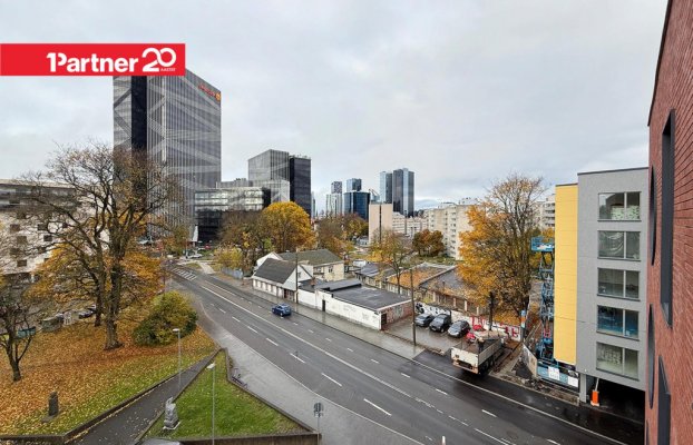 картина 6 of 54