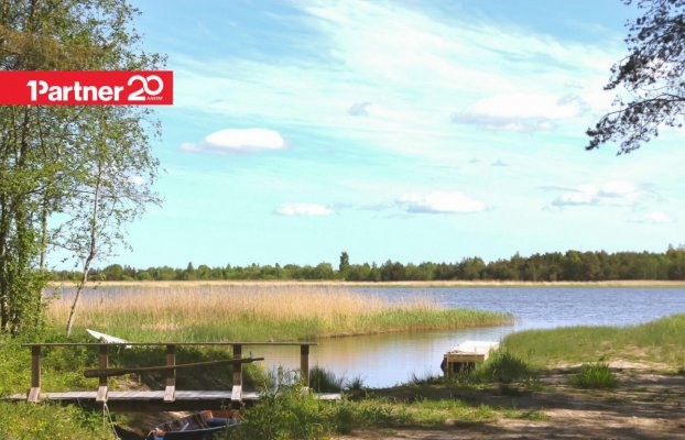 картина 8 of 11