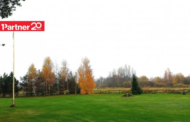 картина 7 of 11