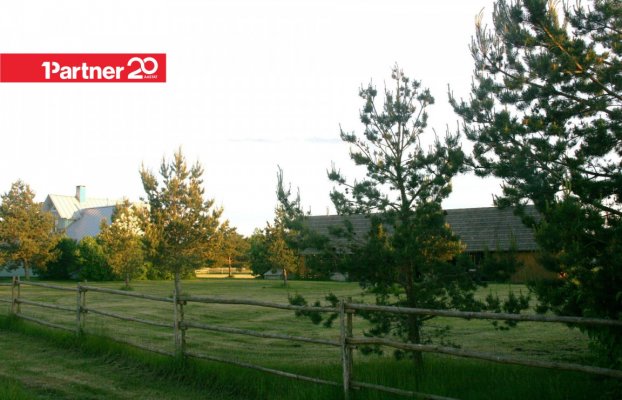 картина 6 of 11