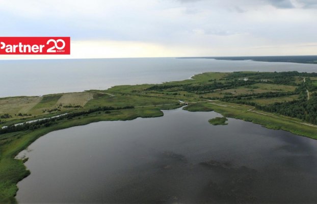 картина 9 of 11